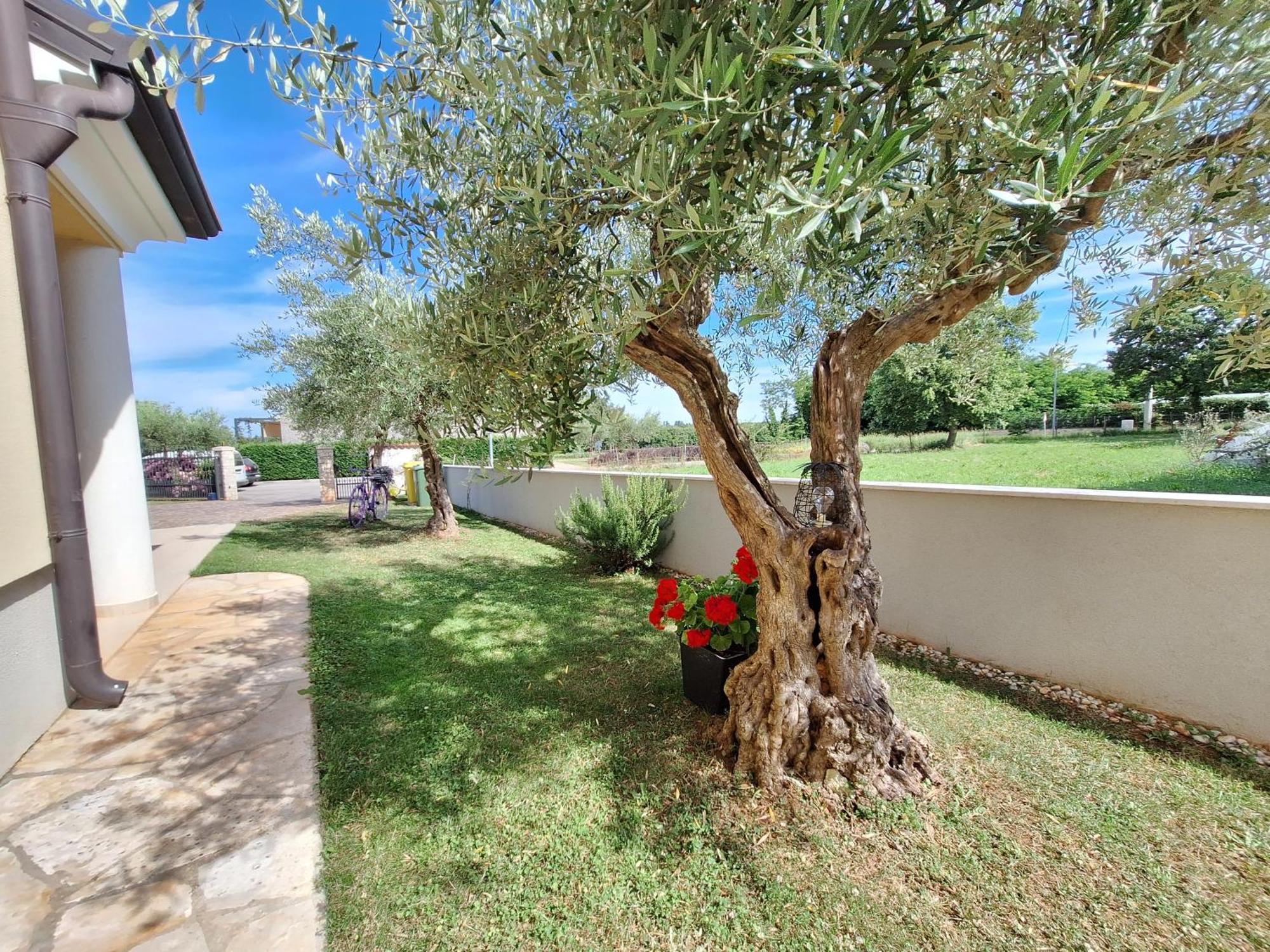 Apartmani Berber Babici Bagian luar foto